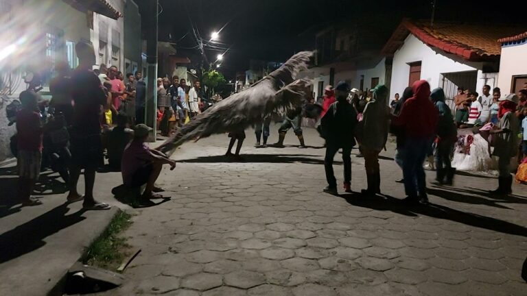 Tradição e Folia: Belmonte Celebra o Final de Semana de Folia de Reis com Apresentações dos Bois Duros